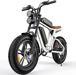 ENGWE M20 Electric Bike for Adults-750W 4.0 * 20" Fat Tire Offroad Cruiser E Motorcycle 28MPH 94Miles Long Range for 48V13Ah(26Ah-Dual Battery Option), Full Suspension